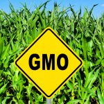GMO-sign-150x150